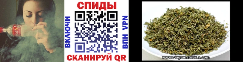 наркошоп  Муром  KRAKEN как войти  Бутират бутандиол 