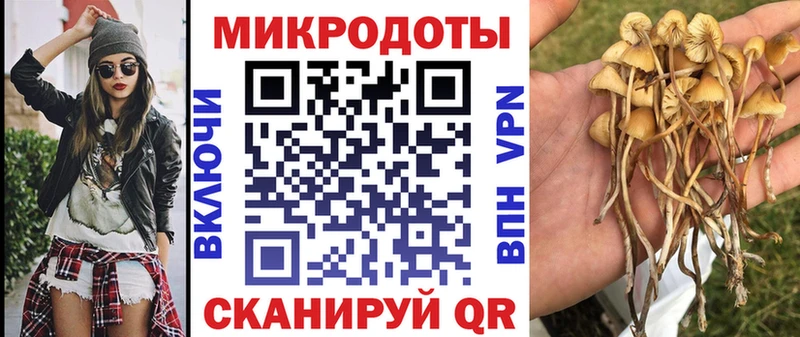 Галлюциногенные грибы Cubensis  как найти   Муром 